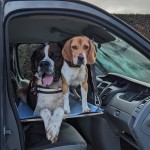 Bon Cadeau : Lit Suspendu Van Sur Mesure - Breizh-Trotter